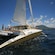 A small group of passengers standing on a catamaran sailboat